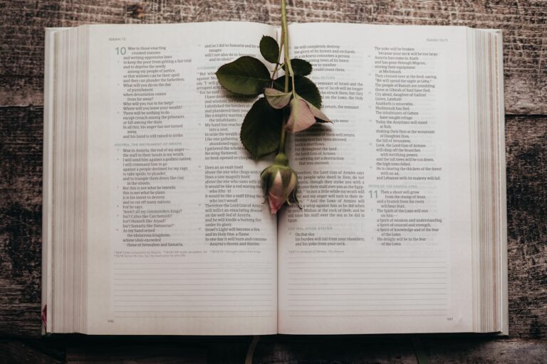 The Role of Erotica in Building Emotional Connections