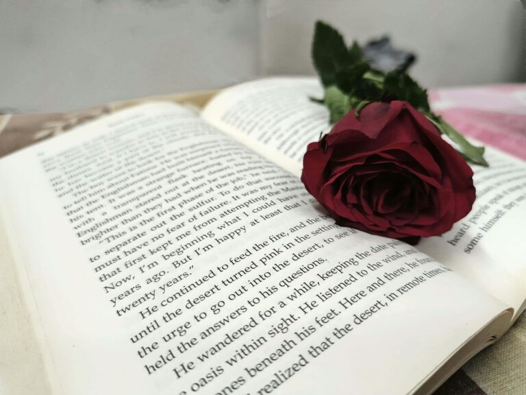 Breaking Stereotypes Through Erotic Literature