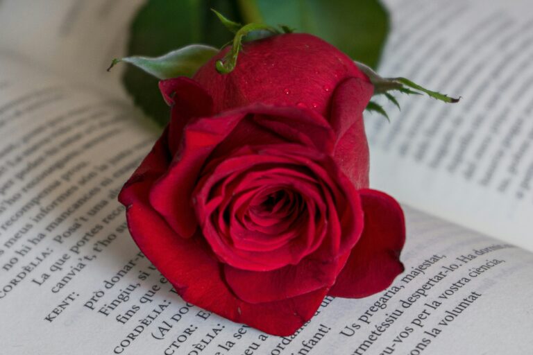 Hello World Featured Image